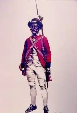 Pablo Alí was a chief military commander who was in charge of the Battalion 31 and freed slaves which joined the ranks of the Dominican army. He is said to have been the "most prominent, achieving great military distinction in Santo Domingo."[58][59]