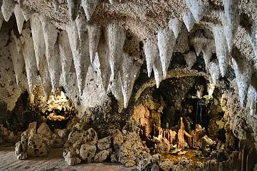 A colour photograph of the interior of a cavern with stalactite-like projections hanging from the roof