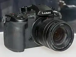 Panasonic Lumix G Vario 12-60mm f/3.5-5.6 Asph., Power O.I.S.