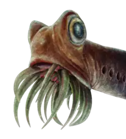 Restoration of Panderodus unicostatus