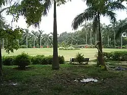 The Parterre and shade trees.