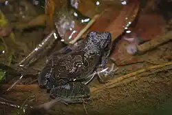 Terra Ronca State Park, Brazil