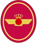 Patch of the "Plus Ultra" Squadron