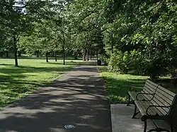 Path running through the park