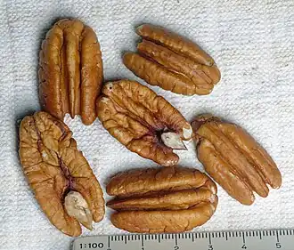 Pecan halves removed from shell