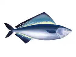 Pentanogmius evolutus