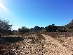 Hiking trail leading to the Indian Mesa (in the background). The hiking trail is located on a portion of a canal which the Hohokam built in 700 AD. The canal is now filled with soil.