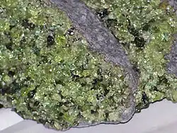 Light green olivine crystals in peridotite xenoliths in basalt from Arizona