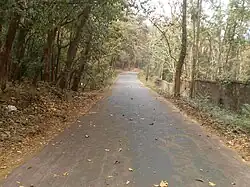 Peruvannamuzhi Dam Road