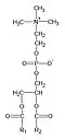 General structural formula of phosphatidylcholines