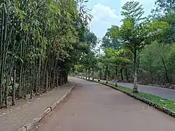 Pilikula Road leading to the Botanical Garden