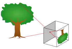 Principle of a pinhole camera. Light rays from an object pass through a small hole to form an image.