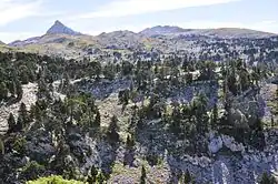 Looks like this Site of Community Interest has an image. Don't worry, you can take one of your own, and upload it too!