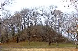 Sauls' Mound (Mound 9) at Pinson Mounds State Archaeological Park