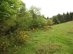 Plainsfield Camp slight univallate hillfort