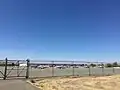 Planes at the Nut Tree Airport