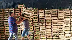 Shipment in wooden crates