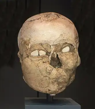 Overmodelled skull from Jericho. British Museum.