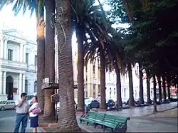 Plaza de Armas de Curicó