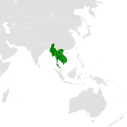 Southeast Asia