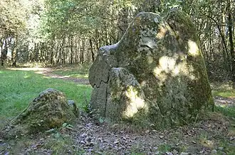 Menhir of Dames de Pierre