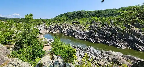 Potomac River at the park