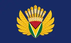 Presidential Standard of Guyana (2020–present) under President Mohamed Irfaan Ali