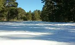 Looks like this Site of Community Interest has an image. Don't worry, you can take one of your own, and upload it too!