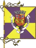 Flag of City of Coimbra