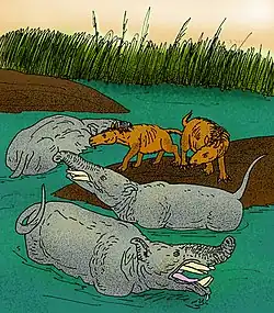 Pyrotherium romeroi and Rhynchippus equinus, Oligocene of South America