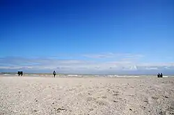 Nazar Bilyk [uk]. "Quotation mark." Metal. 2014.