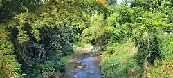 Bayamón River between Mula and Bayamoncito