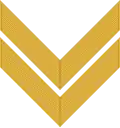 Chevron/ sleeve insignia