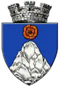 Coat of arms of Târgu Cărbunești