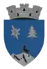 Coat of arms of Borșa