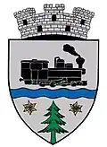 Coat of arms of Vișeu de Sus