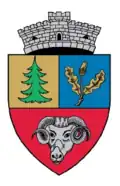 Coat of arms of Jina