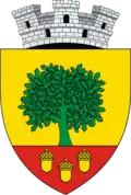 Coat of arms of Cajvana