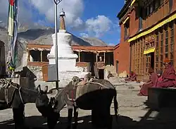 Rangdum Monastery (Shadup Dzamlinggyan)