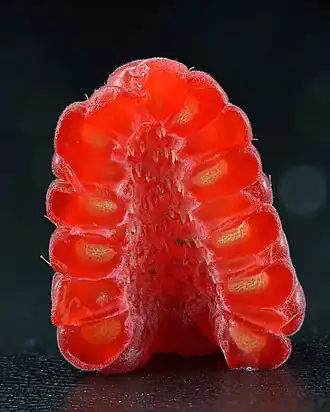 Halved raspberry with absent torus, for contrast