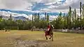 Polo is enjoyed by local Pakistanis in Shigar.