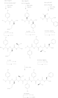 1 - Synthesis of Hpg3-Phe9 Subunit