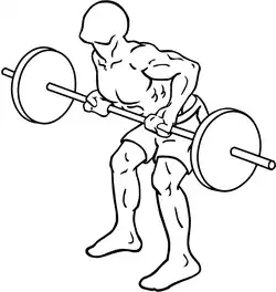 With an underhand grip, ending