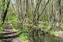 Olszynka Grochowska Nature Reserve