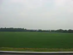 Countryside in central Riley Township