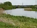 River Nene in Barnes Meadow