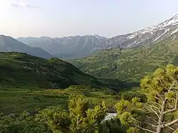 Road to Mutnovsky Glacier in Yelizovsky District