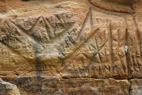 Part of the Roche A Cri Petroglyphs