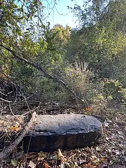 Rock on a Mound In Forwood Preserve
