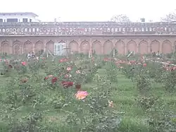 Rose Garden at Gulab Bari